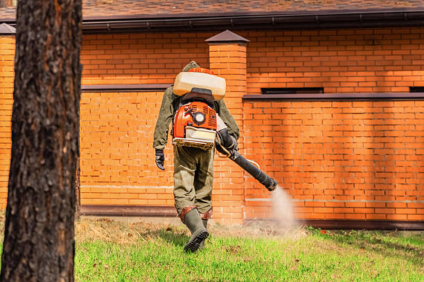 Trusted Ant Control service in Crompond, NY - Nex Pest Control